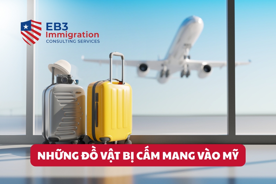 Nắm danh sách đồ cấm mang vào Mỹ giúp tránh vi phạm và rắc rối khi nhập cảnh