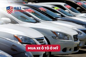 Bài viết hướng dẫn người định cư EB3 mua xe hơi tại Mỹ an toàn và tiết kiệm chi phí