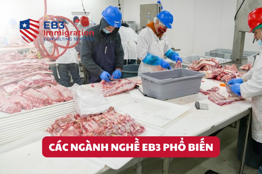 Chương trình EB3 tạo cơ hội định cư Mỹ hợp pháp cho lao động phổ thông đến chuyên gia