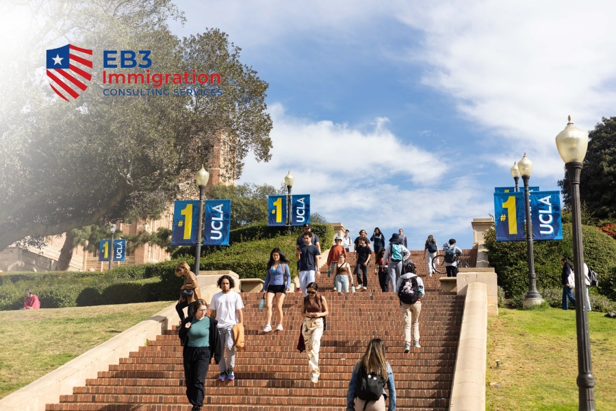 Văn Hóa Mỹ, Những Nét Đặc Trưng Cần Biết Khi Định Cư 6 Giáo dục Mỹ khuyến khích tư duy phê phán, sáng tạo và tham gia tích cực trong lớp học